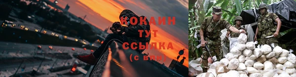 дурь Володарск