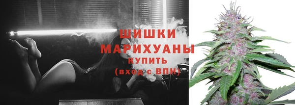 соль ск Волосово