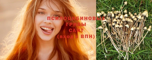 соль ск Волосово