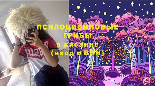 стаф Волоколамск