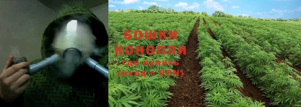 стаф Волоколамск