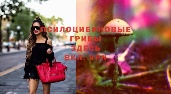 соль ск Волосово