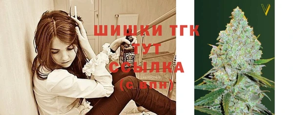 стаф Волоколамск