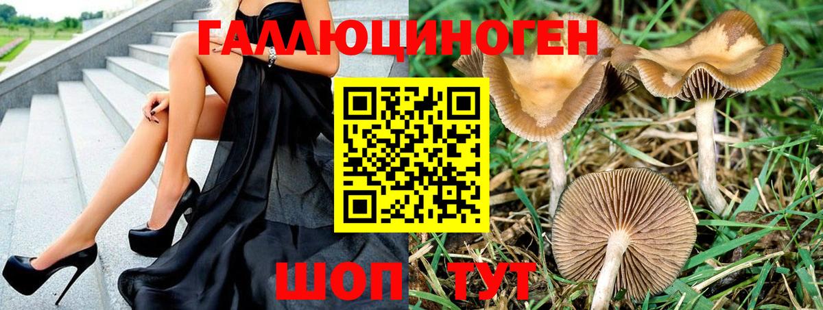 Моршанск  Псилоцибиновые грибы прущие грибы  Галлюциногенные грибы мицелий  Вход с VPN 