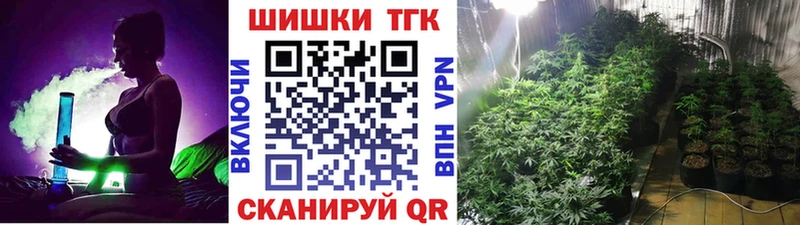 где найти   Моршанск  Шишки марихуана OG Kush 