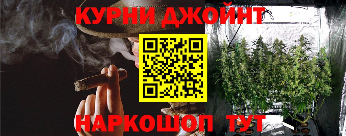 Бошки марихуана план  Бошки марихуана план  Шишки марихуана планчик  Моршанск  Каннабис конопля 